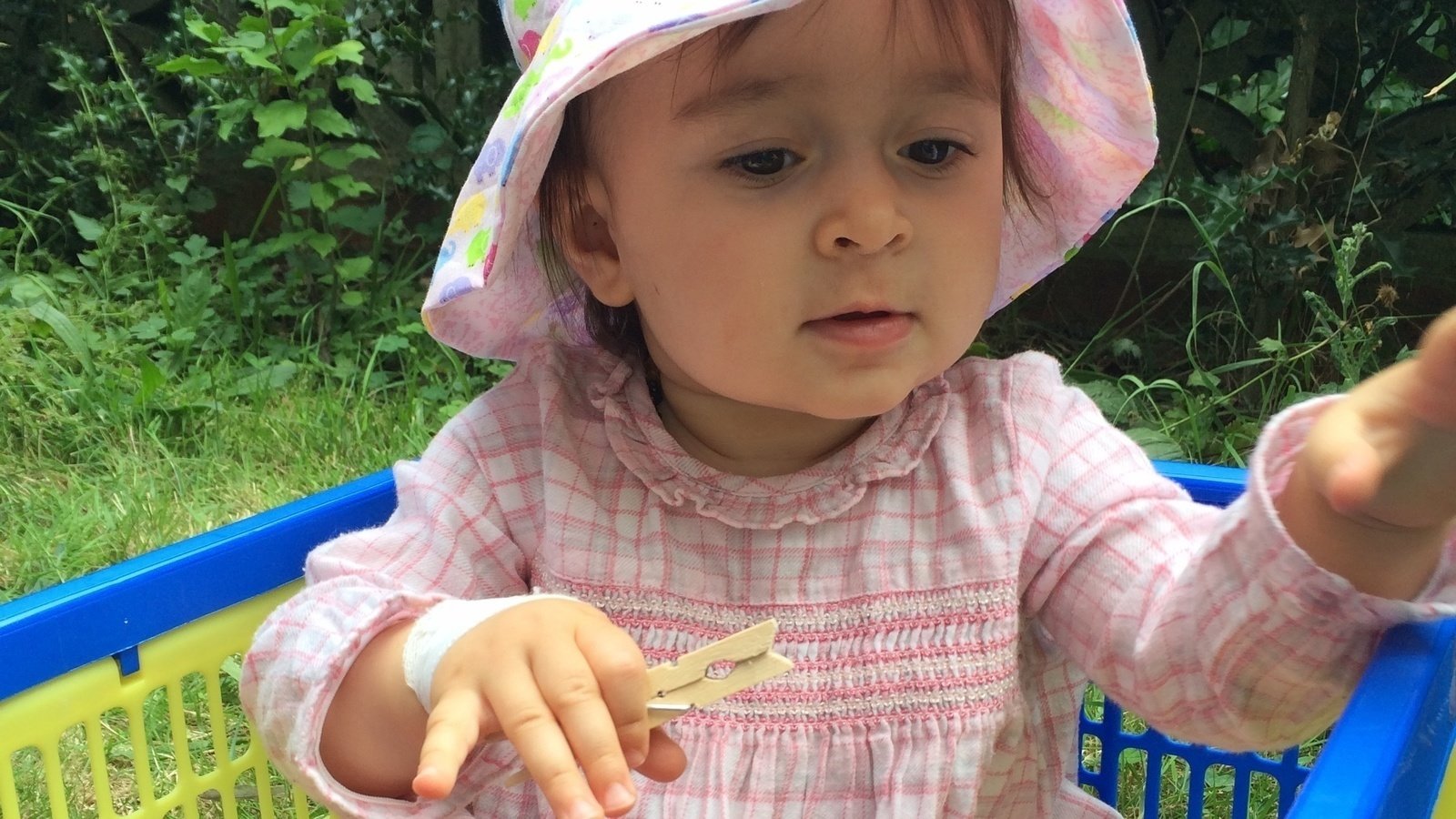 Petition Update Day 256 FreeNazanin Hanging Out To Dry Change