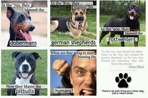 Peion Punish The Deed Not Breed Remove Punish The Deed Not Breed Remove