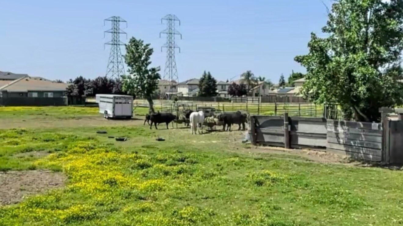 Petition · Stop the Rezoning of Horse Pastures on Roselle & Glow for ...