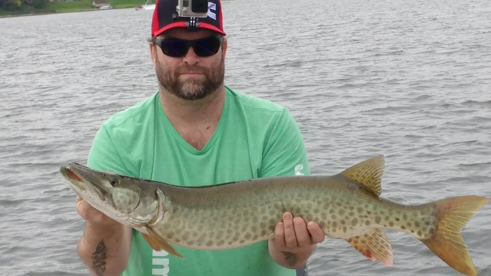 Petition · PLEASE make an IRL FISHING category. United States