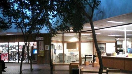 Petition · Save the Noel Wien Library Trees!! - Fairbanks, United