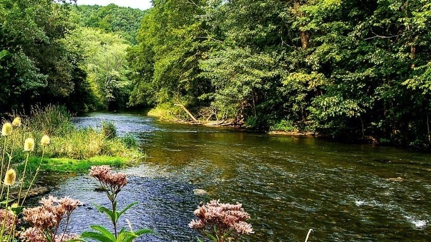 Petition · Confluence of Spring Creek and Bald Eagle Creek Regulations