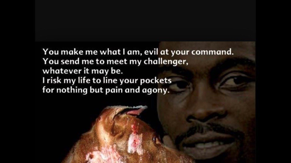 Petition · BAN MICHAEL VICK FOOTBALL PLAYER FROM DOG TRAINING CLASSES