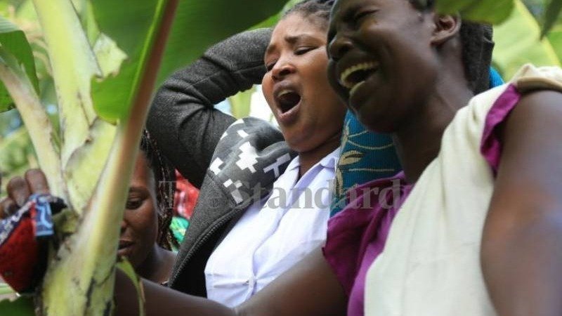 Petition · Save the future Generation, increase Mental Health awareness