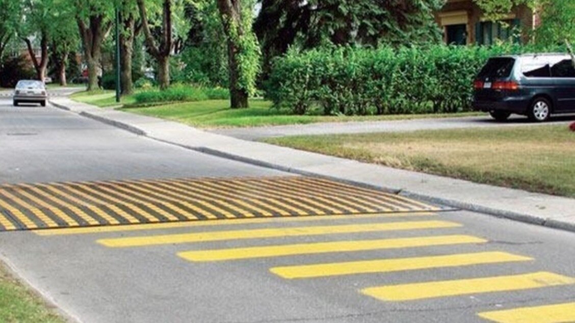 Petition · Protect children and families from reckless drivers by ...