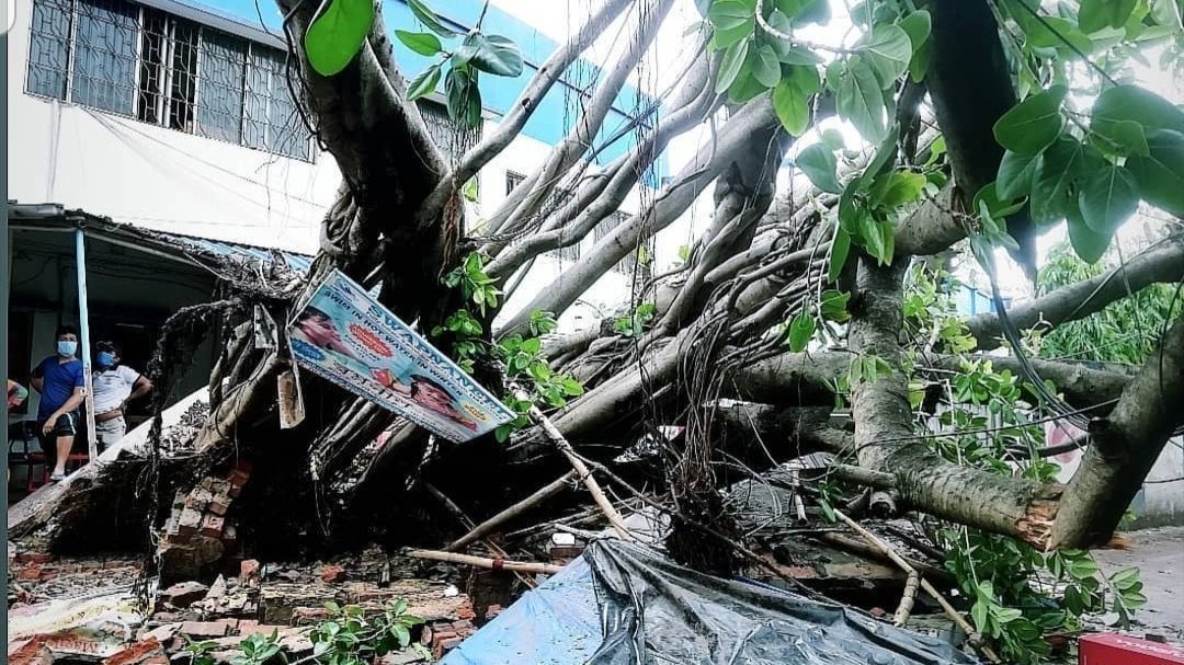 Petición · Kolkata has a right for have electricity and water supply