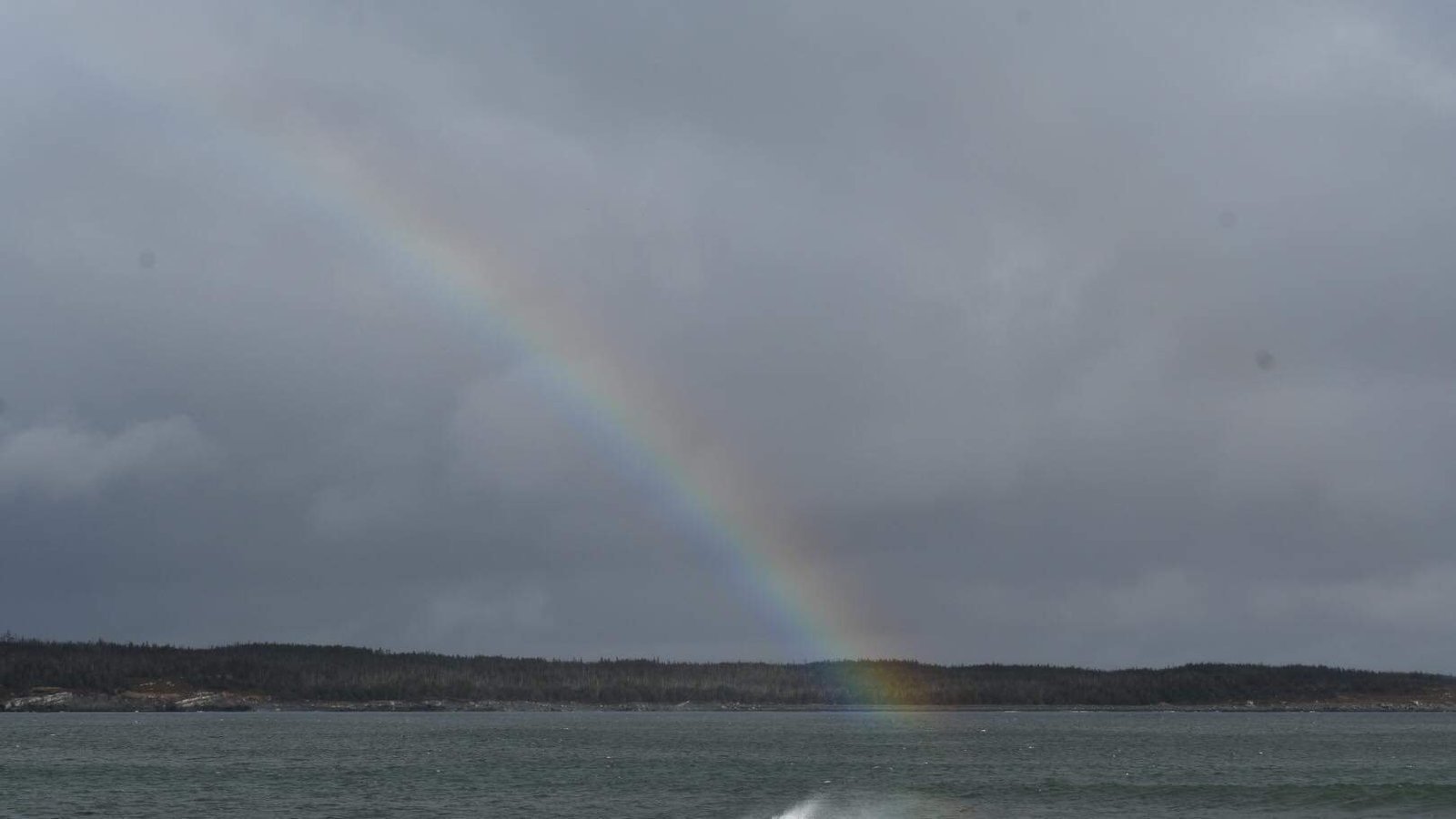 Petition · Open Canadian Border to Property Owners from U . S. ·