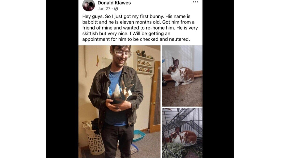 Petition update · Rabbit Killers Trial Is Open to The Public · Change ...