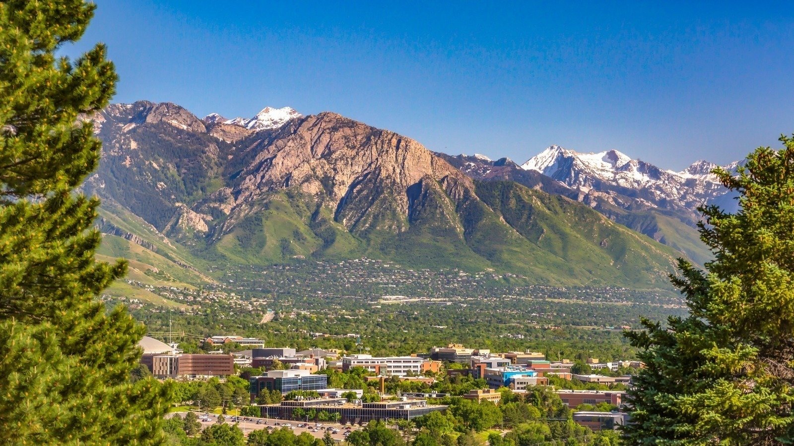 Petition · Arborist Licensing in Salt Lake City Salt Lake City