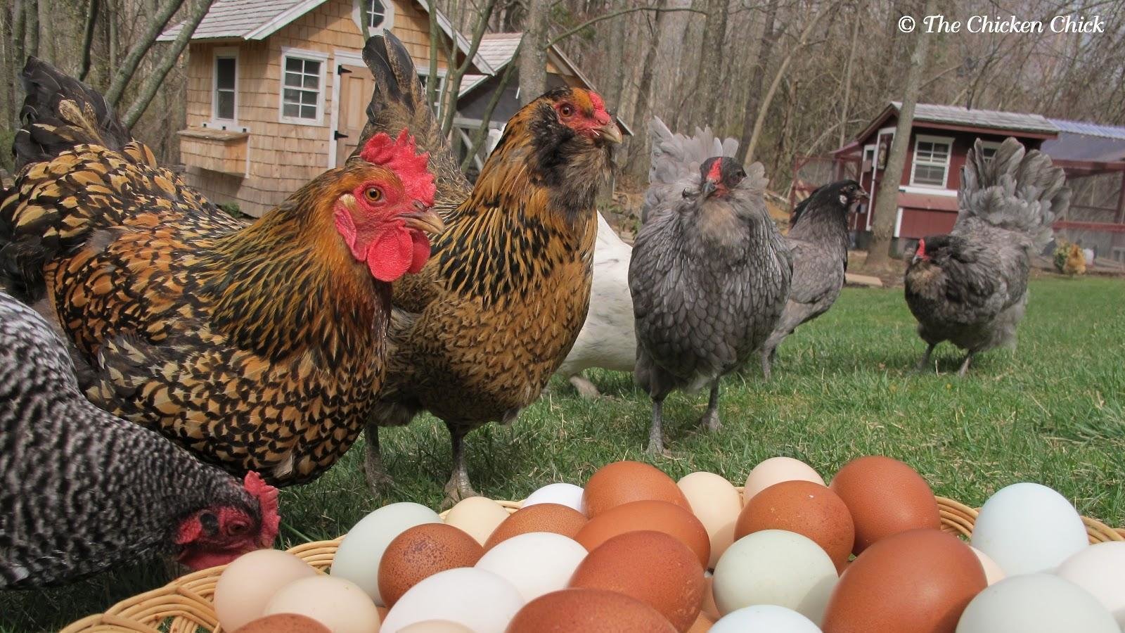 Petition · Allow residents of the City of Seminole (Pinellas County) to