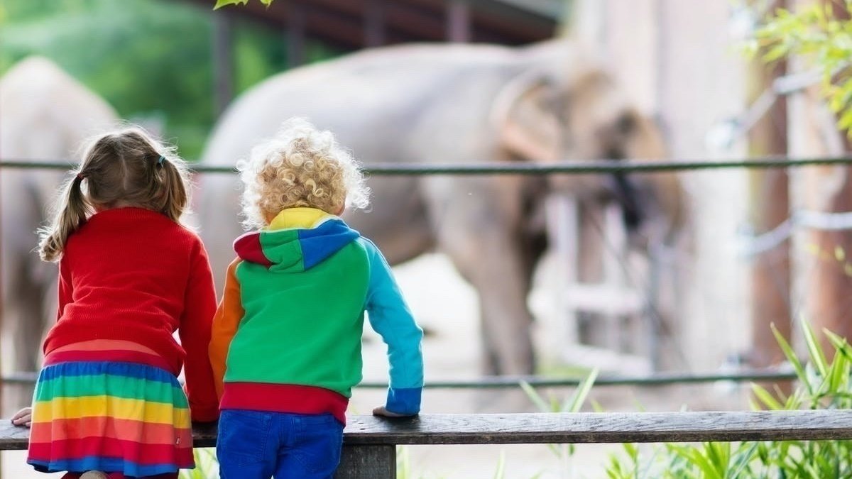 Petition · Support the future of global wildlife conservation by