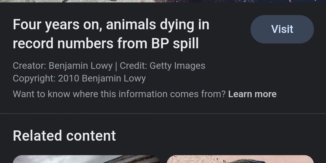 Petition · STOP THE WILLOW PROJECT NOW SAY NO United States ·