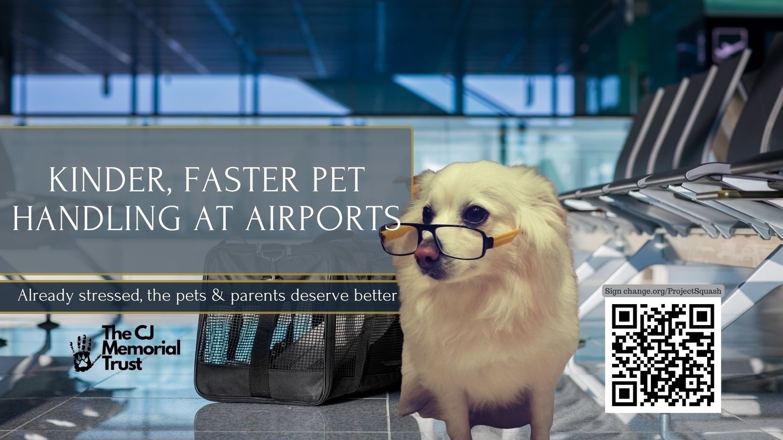 Petition · More effective, kind airport handling for traveling pets