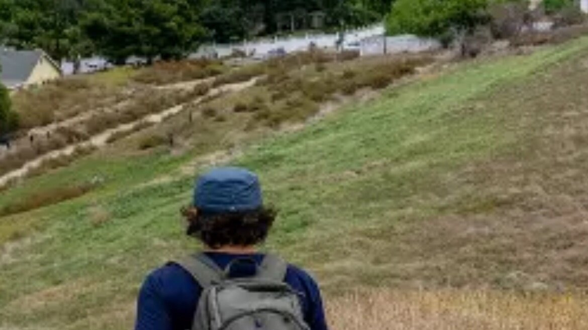 Petition · Save the oldest tree in California United States ·