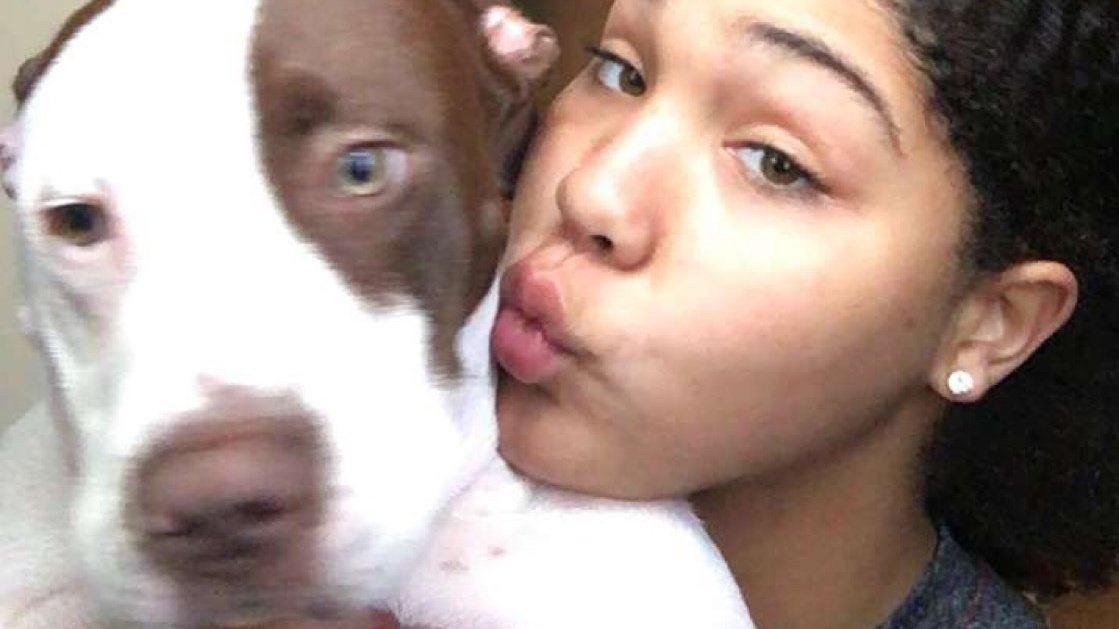 Petition · Pets allowed in apartments. ·