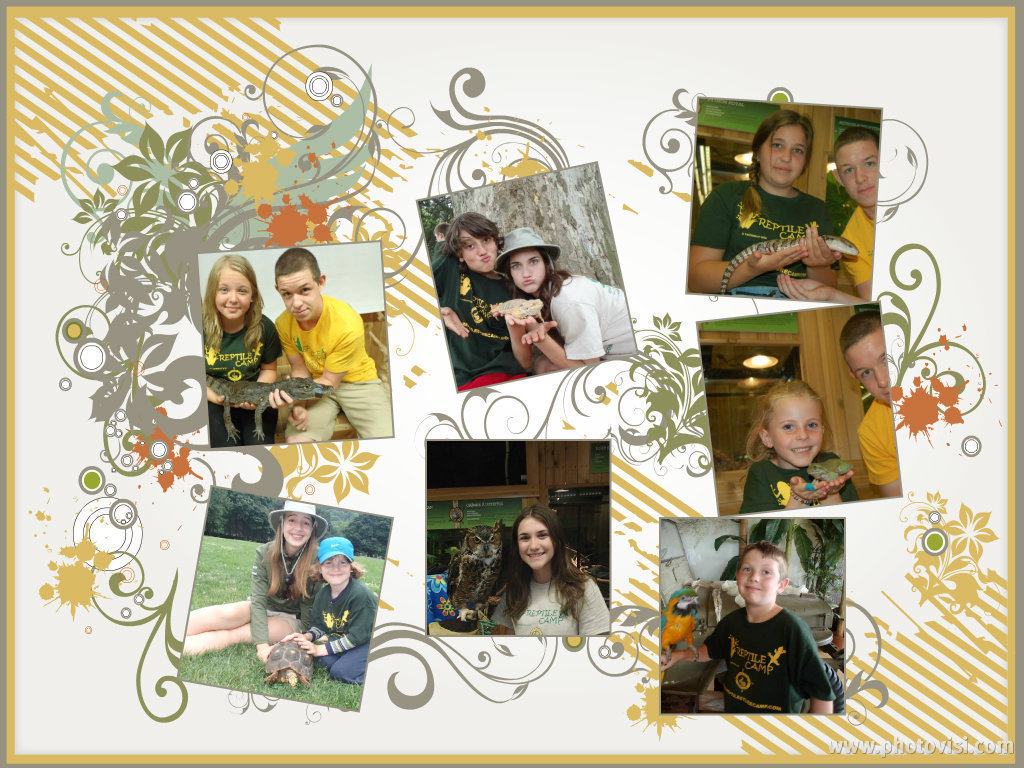 Petition · Little Ray's Reptile Zoo (Hamilton) Help them keep their