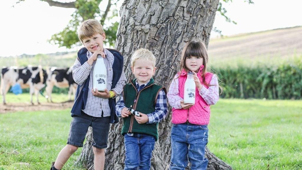 Petition · Support Local Farm &