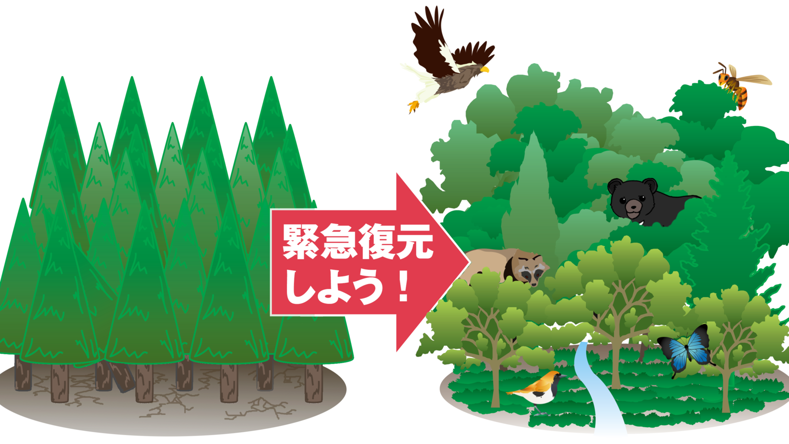 オンライン署名 · 森林環境税で、スギ・ヒノキの放置された人工林を