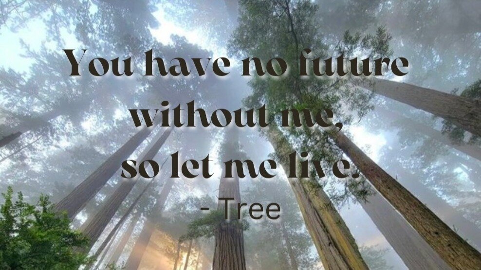 Petition · ROOT FOR CHANGE: PLANT A TREE FOR BETTER TOMORROW ...