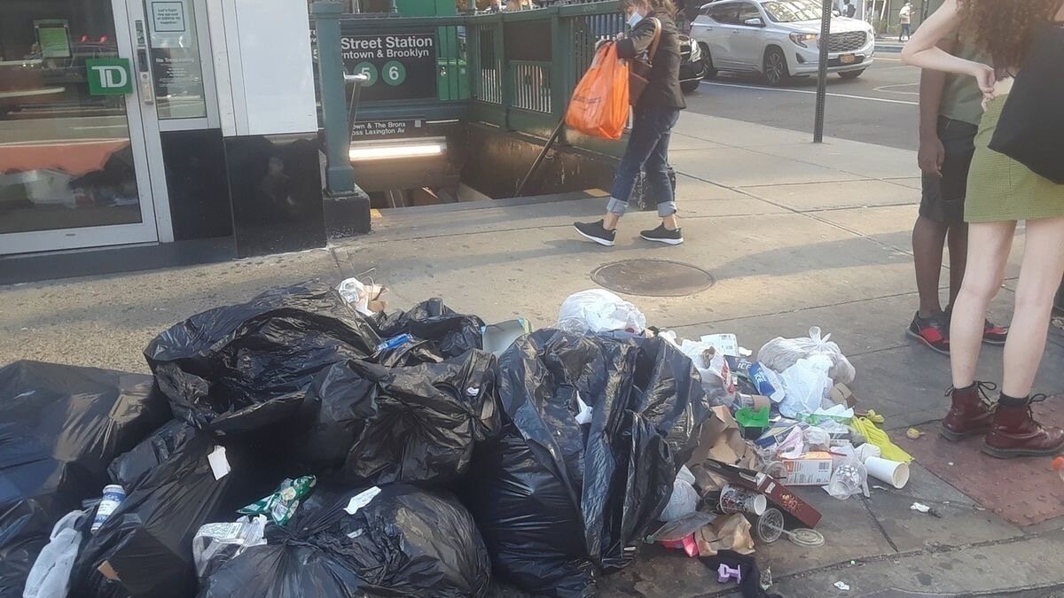 Petition · Address the cleanliness issue in Washington Heights - New ...