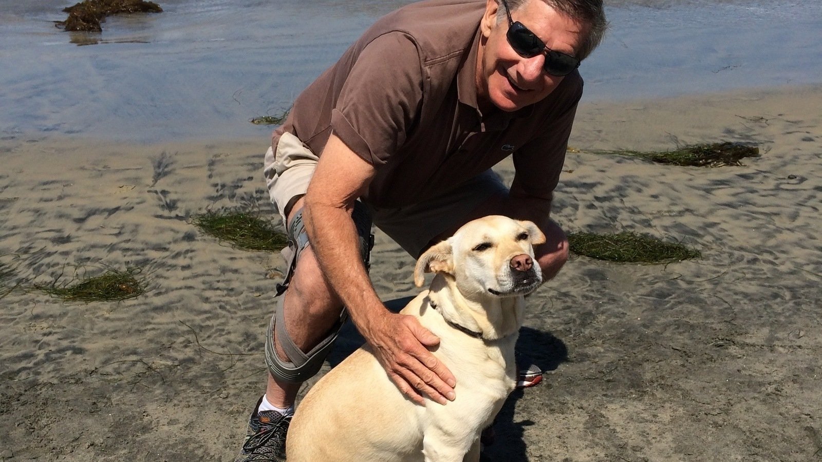 Petition · Continue to allow dogs on the beach in Del Mar Del Mar