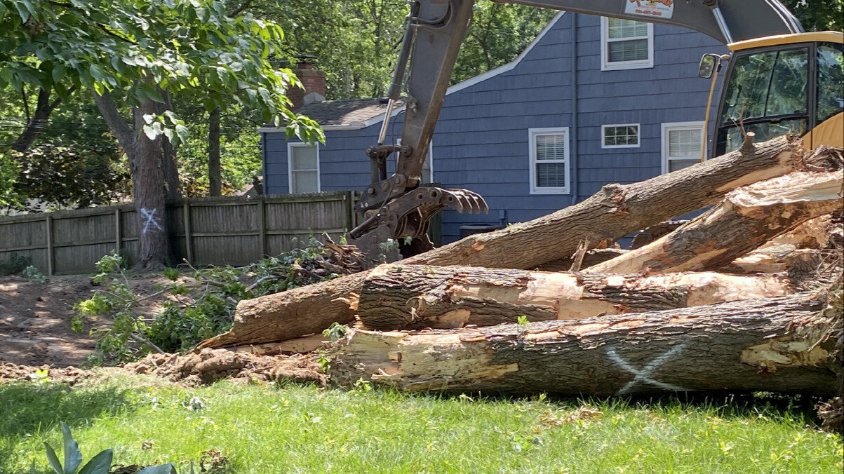 Petition · End Mass Tree Removal During New Residential Construction ...