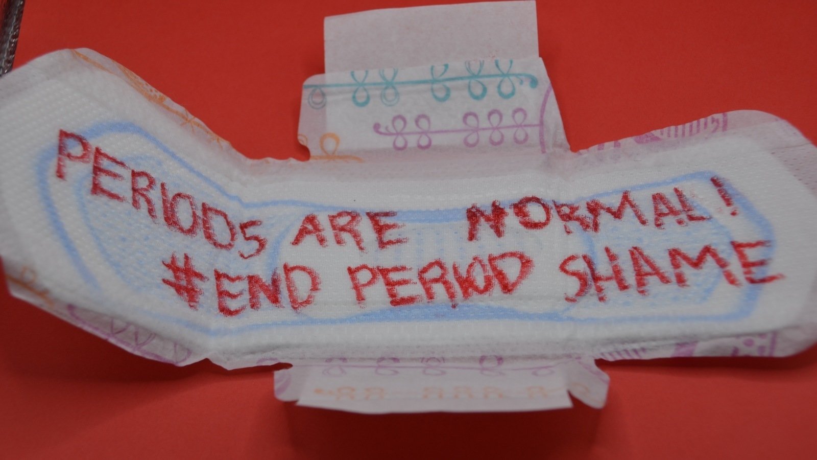 Petition · Stop the Florida ban on talking about periods United