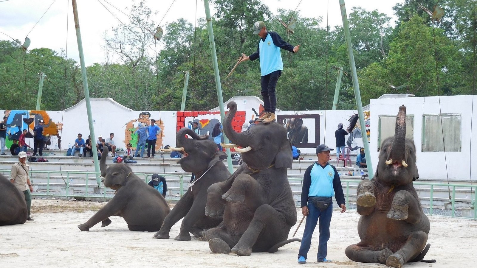 Topic Hewan Change Org