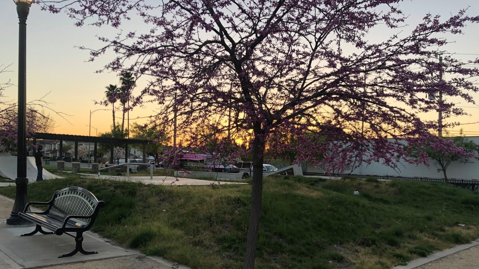 Petition · Improve and rebuild West Evergreen Park for our San Jose