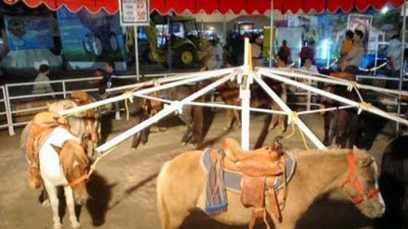 carrousel san martin