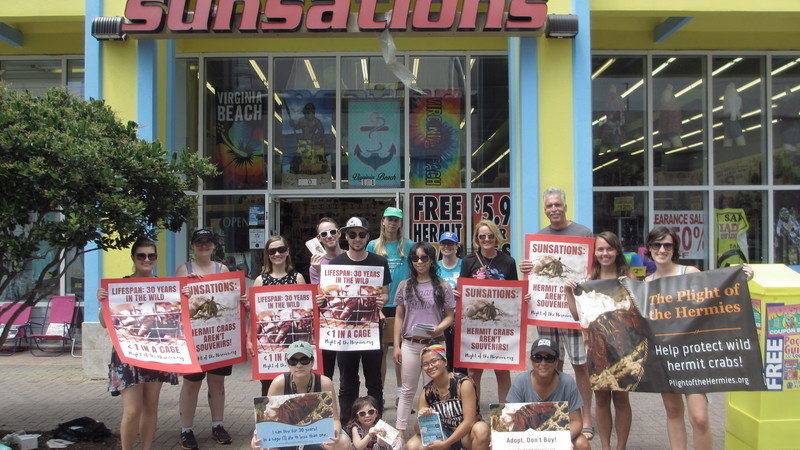 Peion Update Photos Protesters Kick Off Sunsations Campaign In Jun 16 2018 Today In Virginia Beach Protesters Lined The Street Outside One Sunsations On Behalf Of More Than 40 000 You Who Have Signed