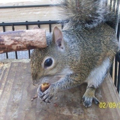 ChangeOrg profile picture for @picasso