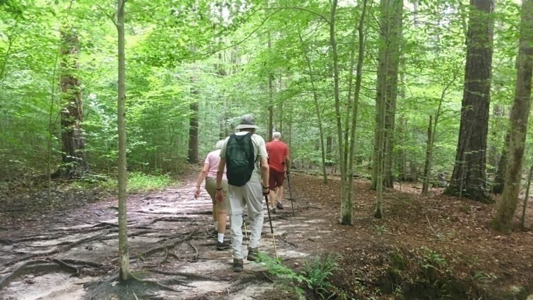 Duke Forest Hiking Trails Petition · Keep Duke Forest Open To Hikers During Covid-19 · Change.org