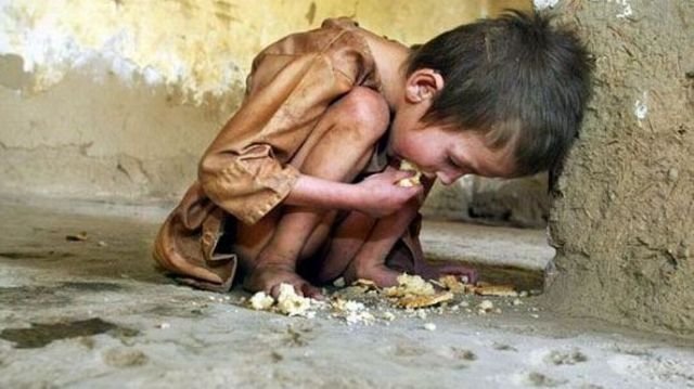 Petition · with nearly a fourth of its 1.1billian population hungery ...