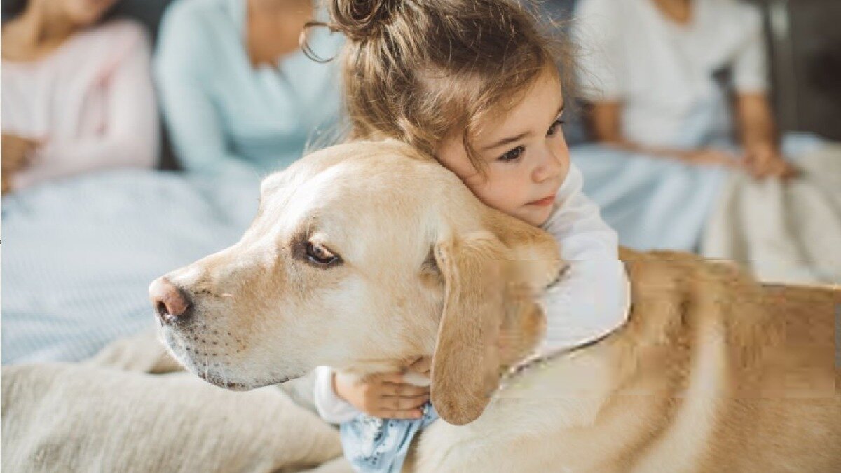 Petition · Supermarkets Stop Selling Dangerous Plastics That Hurt Our