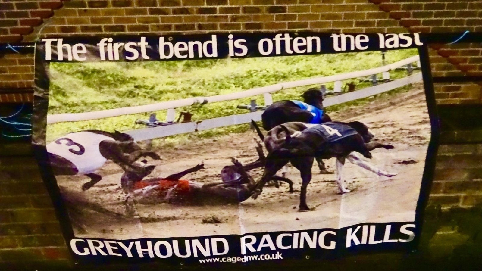 Petition · Close Brighton and Hove Greyhound Racing Stadium - United ...
