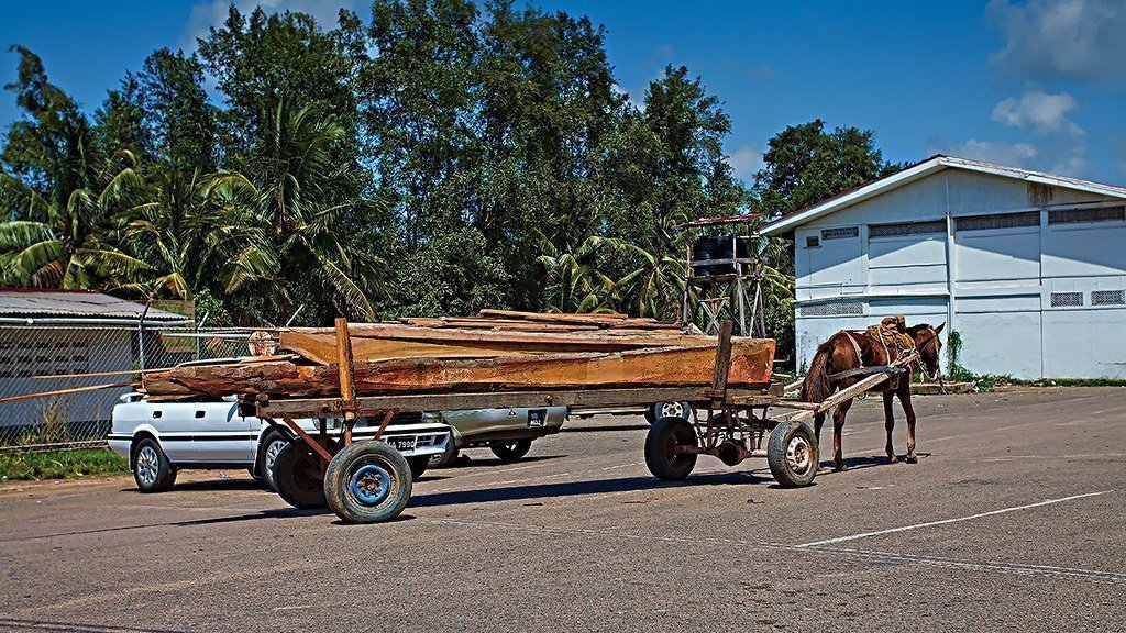 Petition · Ban the use of Horse Carts at Lumber Yards in Guyana
