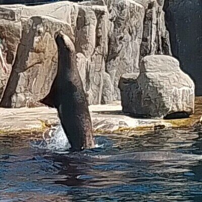 ChangeOrg profile picture for @seals