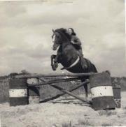 ChangeOrg profile picture for @Equestrian