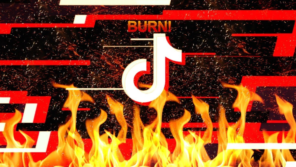 Petition · Have Elon Musk buy ByteDance and shutdown Tik Tok United