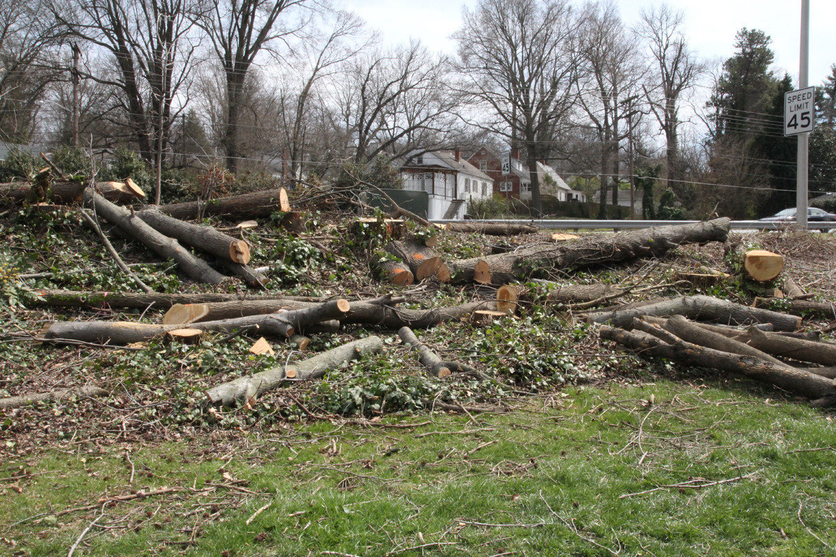 Petition · Duke Energy, Asplundh, NC Ultilities Commission, Gov. Pat