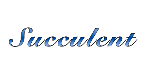 Petition  Stop Word Racism Against Succulent - Australia  Change.org