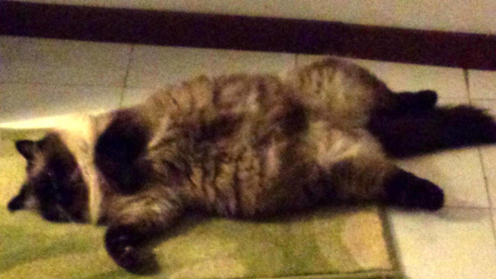 Petizione · Sostituire il