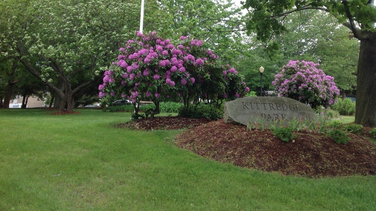 Petition · Save our trees! Save Kittredge Park! ·