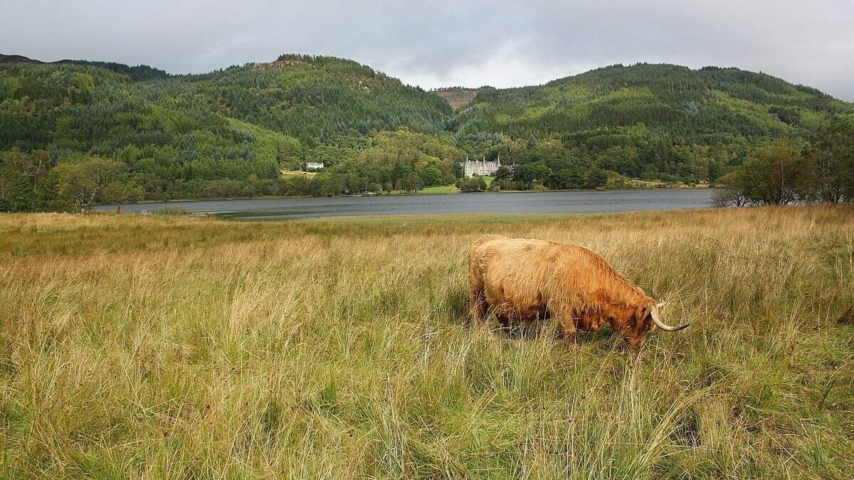 Petition · Say No to Flamingo Land 2 . 0 - United Kingdom · Change.org