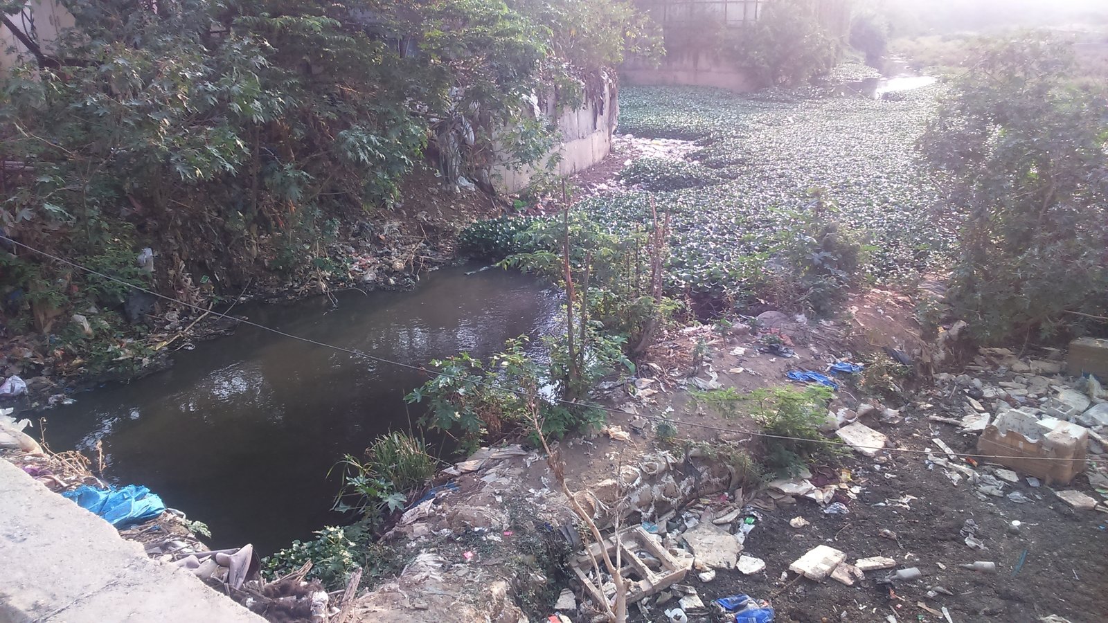 Petition · Clear stagnant sewage water and choked drain connecting to