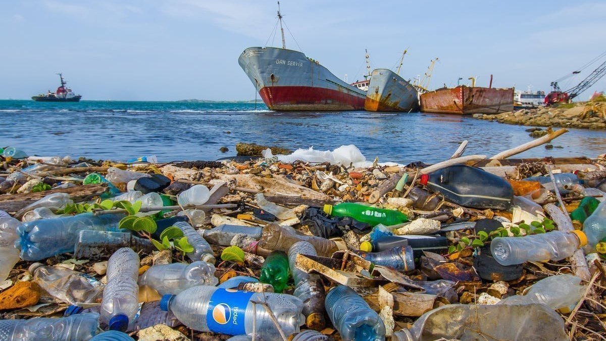 Petition · Tax companies for single use plastic packaging ·