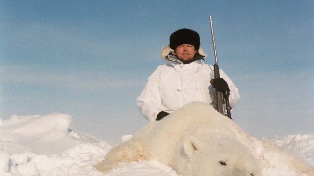 Whats Killing Polar Bears This Arctic Expedition Holds The Answers - npjxmld