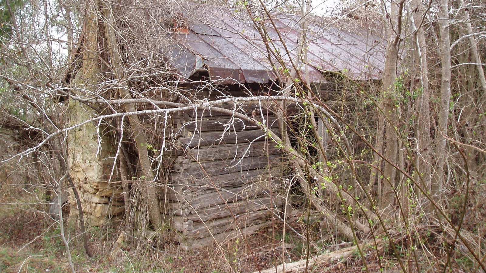 Petition · Stop development of Goodwin Road land Durham, United