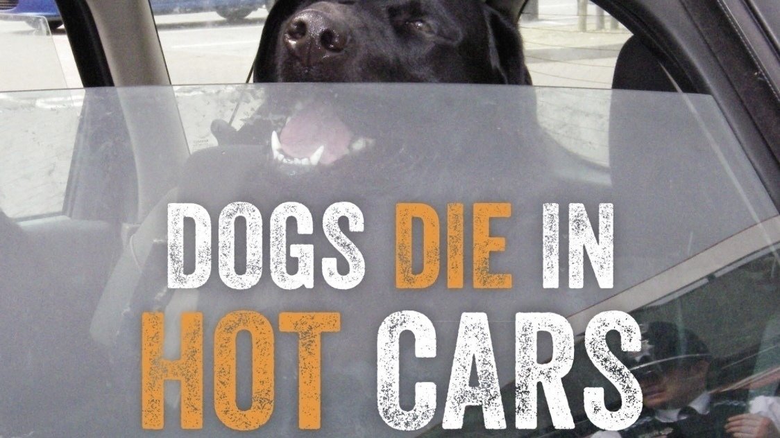Petition · Fines for people leaving dogs in hot cars ·